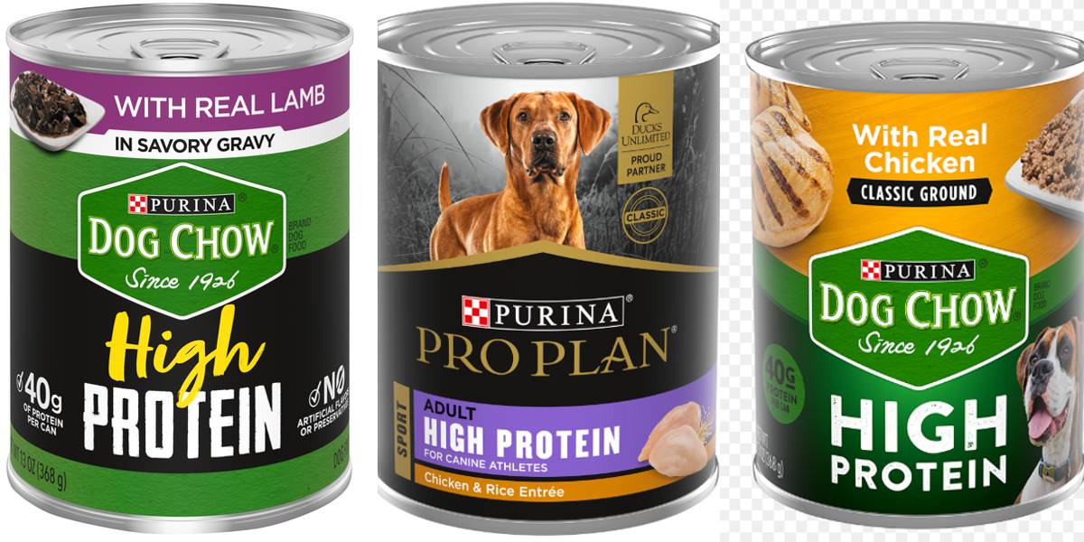 purina high protein canned dog food